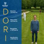 DORI und Pixeldichte (PPM). Definition und Beispiele